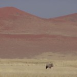 Dunas rojas del Namib