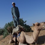 Ali Baba y el camello