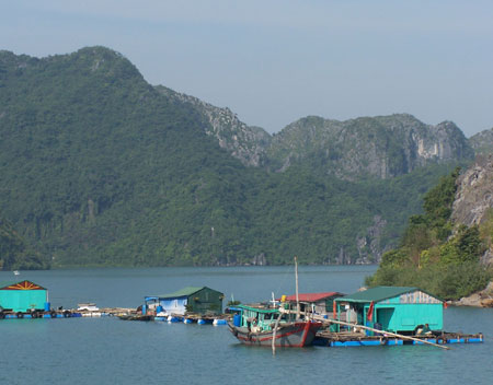 Casas flotantes en Halong Bay
