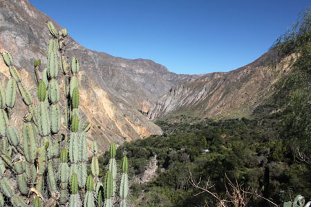 Cañón del Colca en Perú