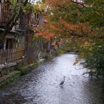 Los misterios de Kyoto